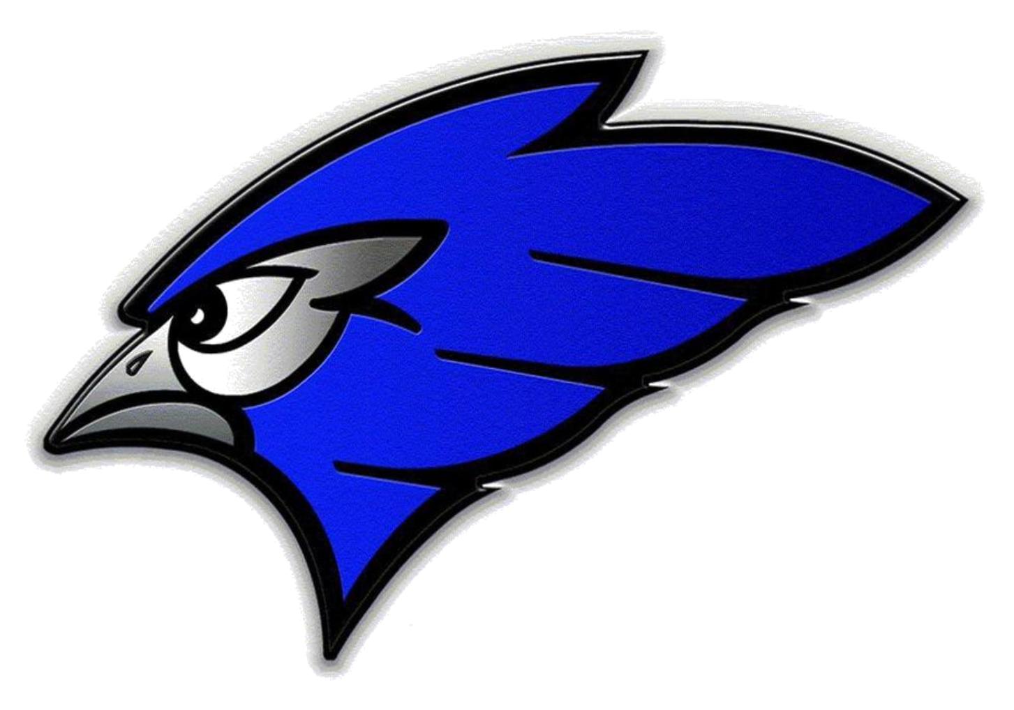 Jamestown Blue Jay Mascot 