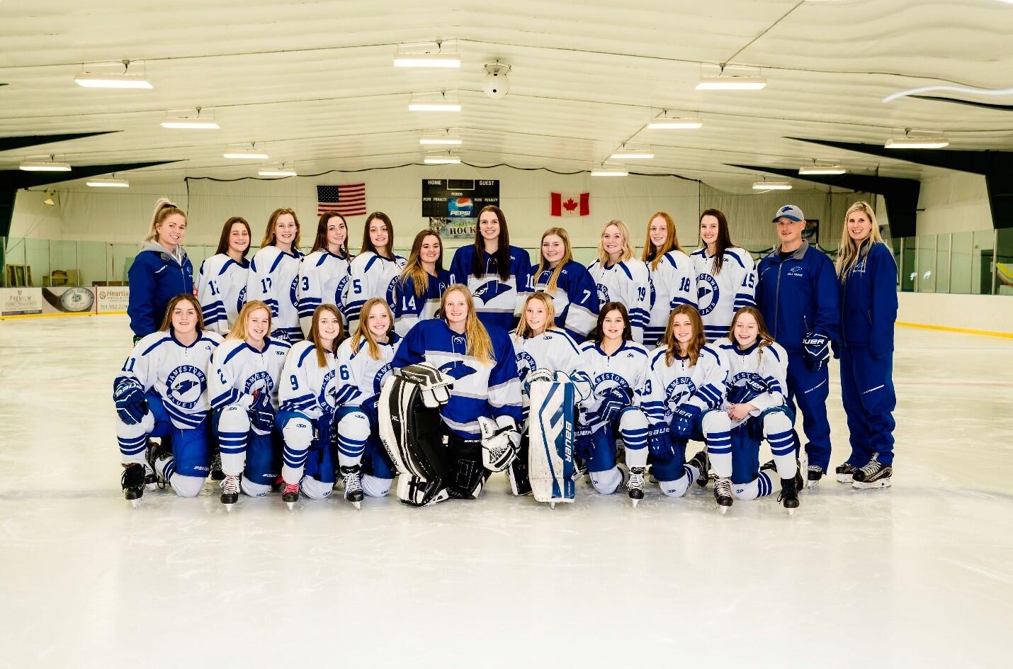 2020 Girls Hockey Team